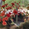 Decoración floral en iglesias vs fincas al aire libre en Córdoba: qué tener en cuenta