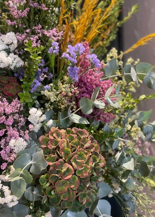 image26